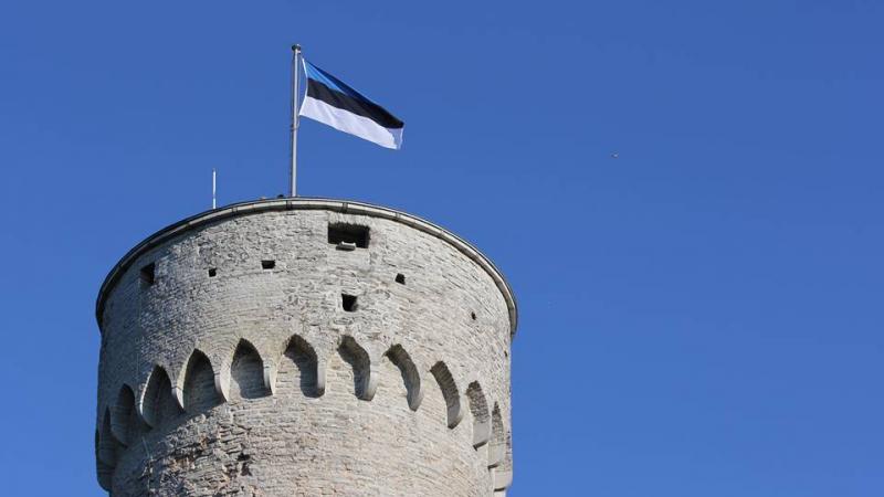Igaunijas karogs