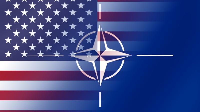 NATO-ASV