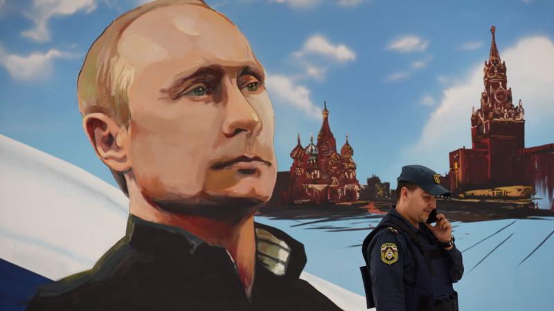 Putina gleza uz ēkas sienas