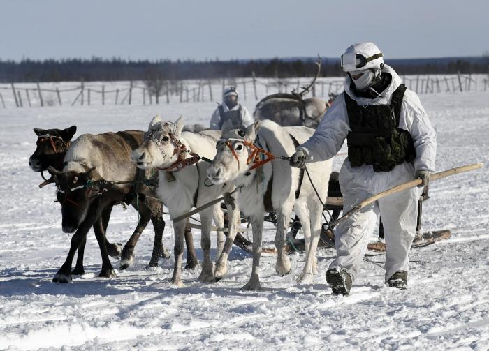 Krievijas karavīri mācībās pārvietojas ar ziemeļbriežu pajūgiem/ Lev Fedoseyev/TASS/Scanpix