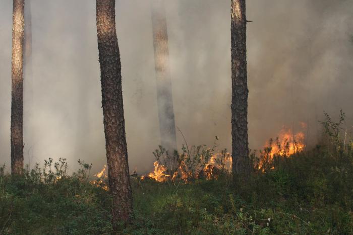 Foto: Ingus Evertovskis