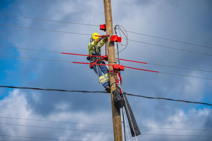 AS "Sadales tīkls" mācības