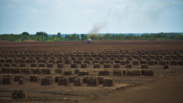 Kūdras ieguves vieta