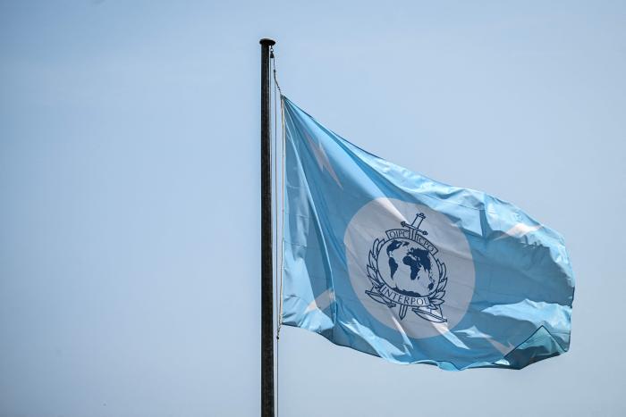 Interpola organizācijas karogs