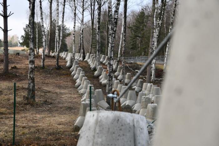 Polijas "Austrmu vairogs