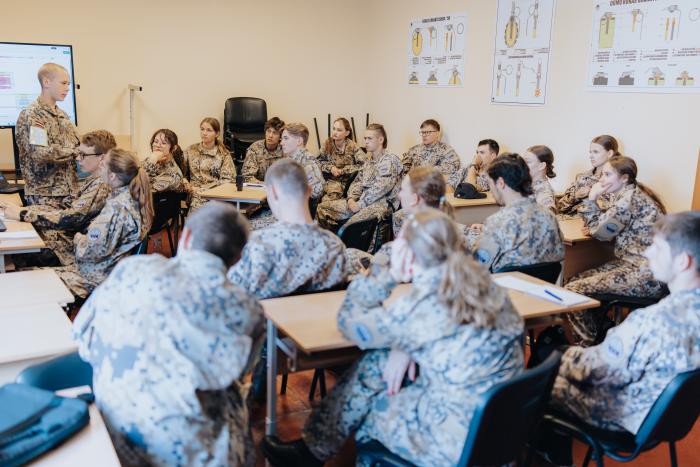 Armīns Janiks, Aizsardzības ministrija