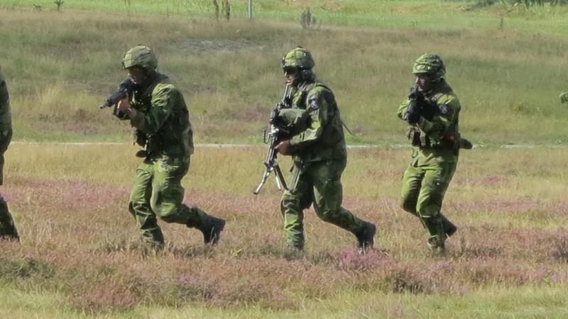 Zviedrijas karavīri