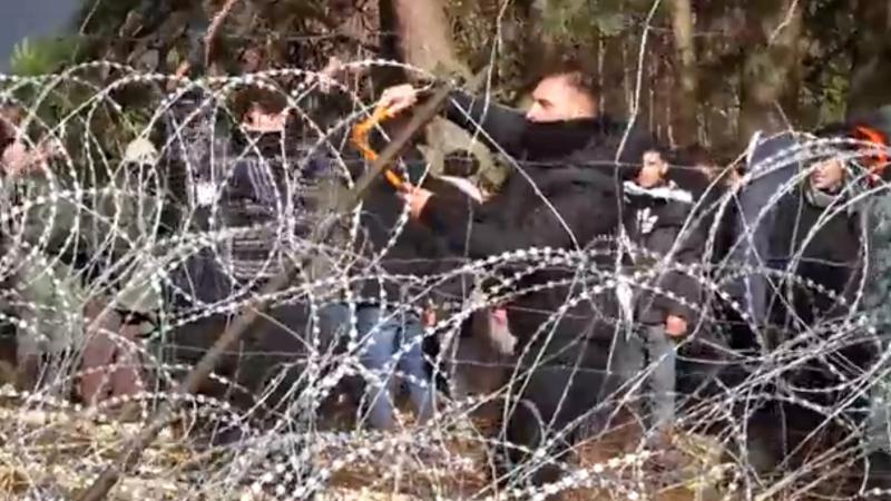 Agresīvs migrants mēģina pārgriezt dzeloņstieples uz robežas ar Baltkrieviju