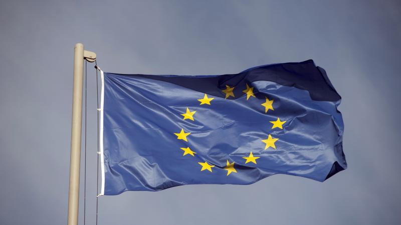 Eiropas Savienības karogs