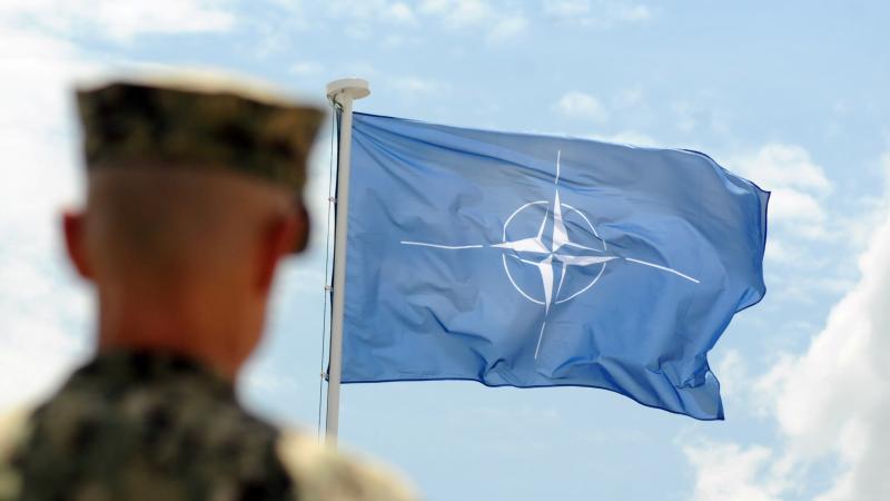 NATO karogs un karavīrs