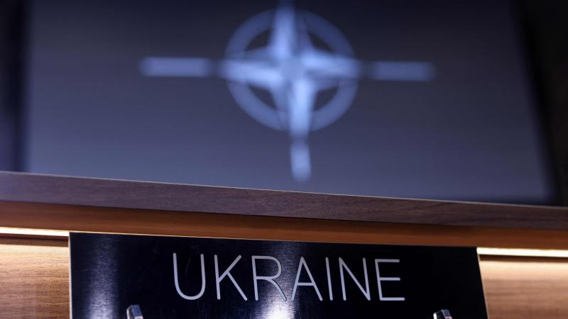 Plāksne, uz kuras rakstīts "Ukraina", kam fonā redzams NATO logo siluets