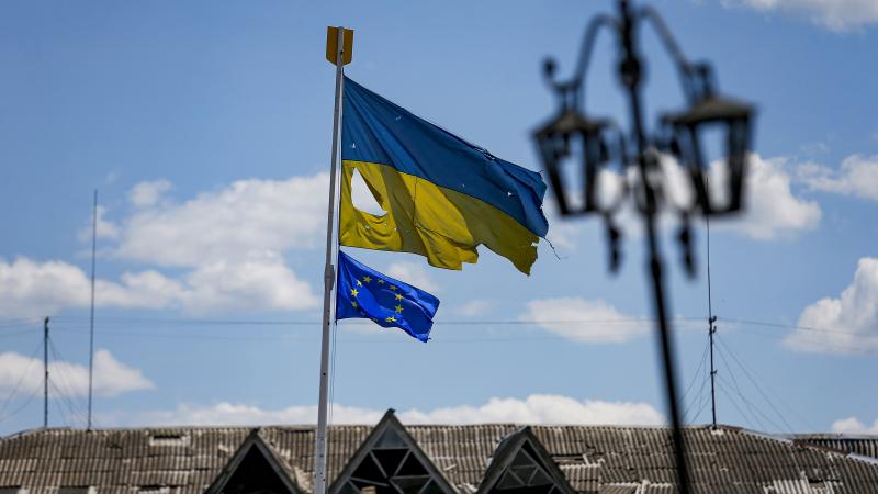 Ukrainas un Eiropas Savienības karogi Ukrainas pilsētā Malinā