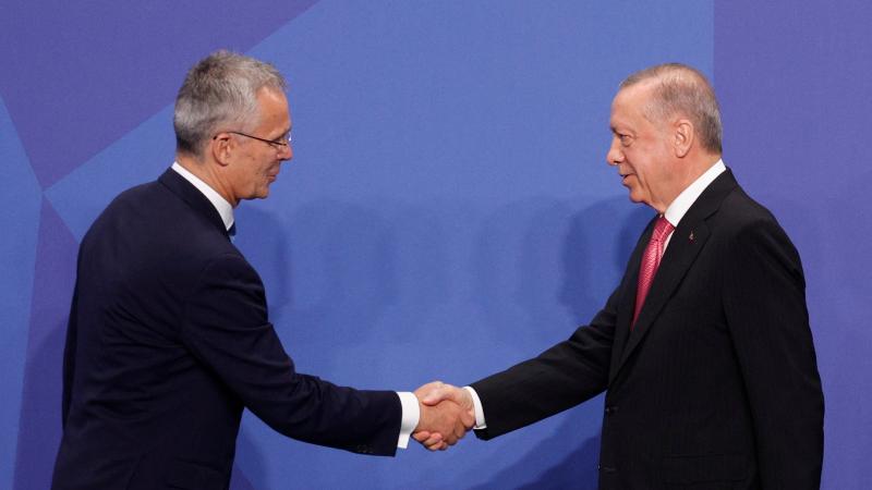 NATO ģenerālsekretārs Jenss Stoltenbergs un Turcijas prezidents Redžeps Tajips Erdogans 