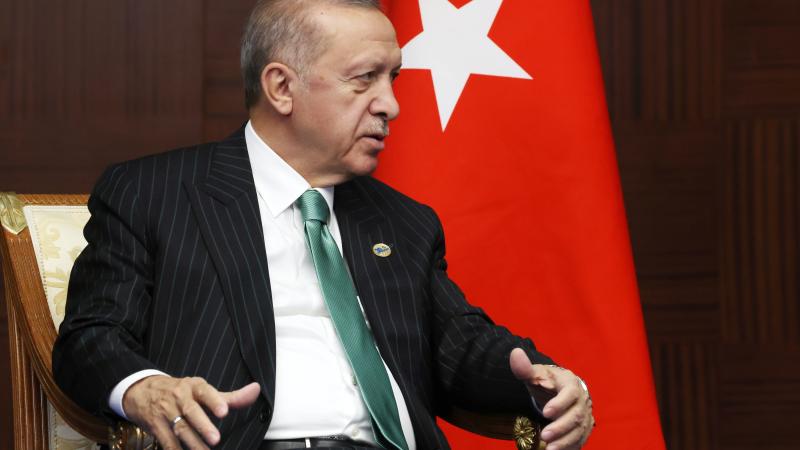 Turcijas prezidents Redžips Tajips Erdogans