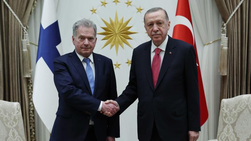 Somijas un Turcijas prezidentu tikšanās