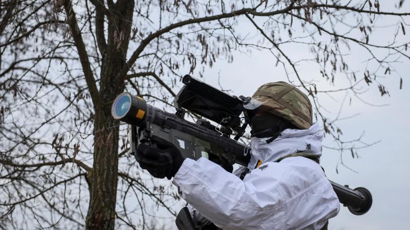 Ukrainas bruņoto spēku karavīrs ar raķeti "Stinger"