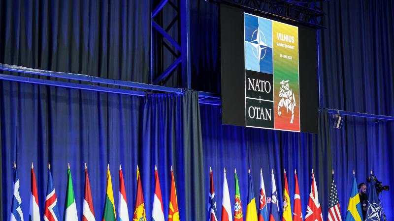 NATO samits Viļņā