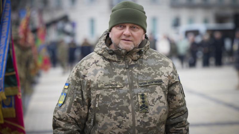 Ukrainas bruņoto spēku virspavēlnieks Valērijs Zalužņijs