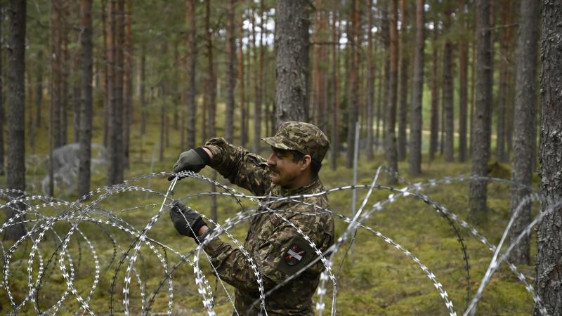 Zemessardzes 4. Kurzemes brigādes 51. bataljona zemessargs mācībās