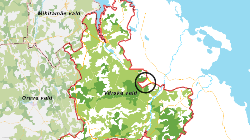 "Sātses zābaks" Igaunijā