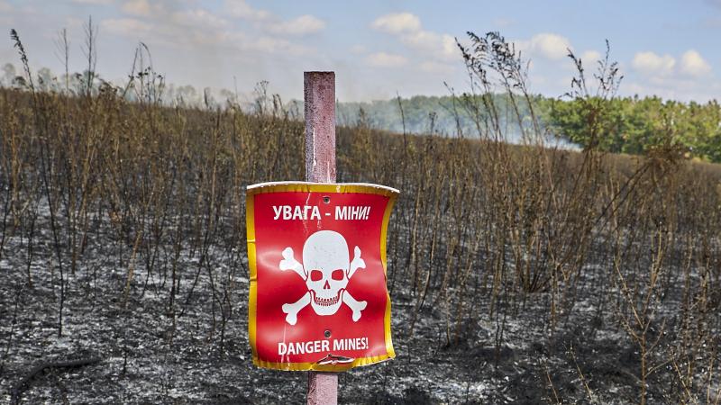 Mīnu lauks Ukrainā (ilustratīvs attēls)