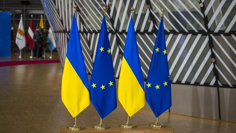 ES un Ukrainas karogi