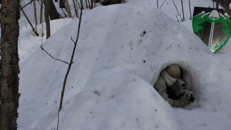 Karavīrs sniega alā