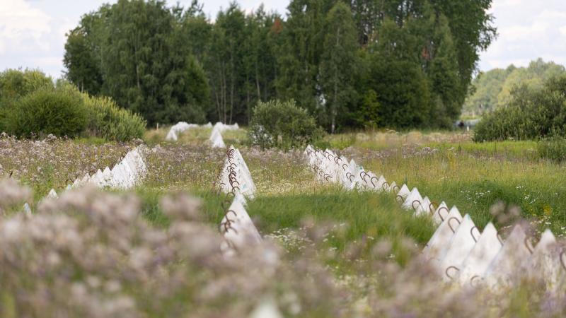 Latvijas robeža