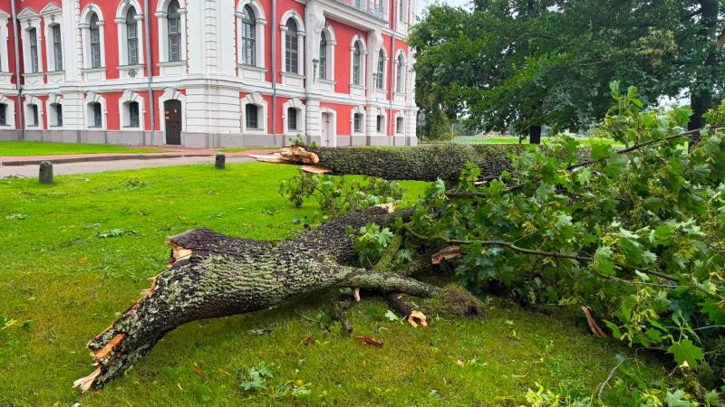 Vētras postījumi Jelgavā